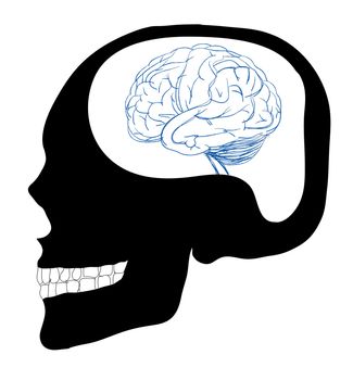 Brain in skull