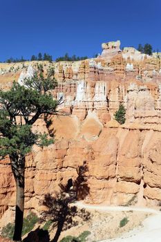 vertical view of Navajo Trail in Bryce Canyon, Utah 