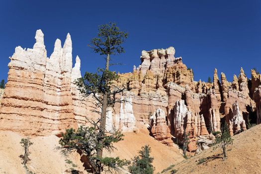 famous Navajo Trail in Bryce Canyon, Utah, USA