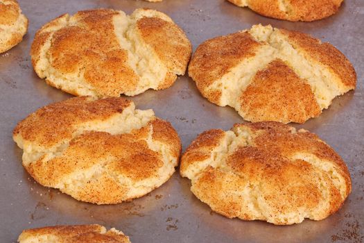 Close-up image of home-baked snickerdoodle cookies fresh out of the oven and still on the pan