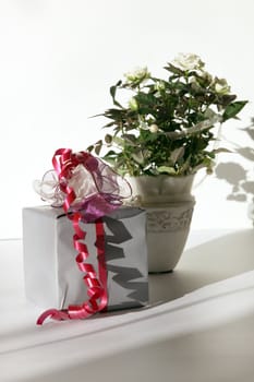 pretty wrapped gift with roses in the background with copy space