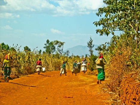 People coming back from a local market near Konso area in Ethiopia.