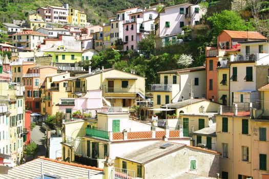 Italy. Cinque Terre. Colorful houses of Riomaggiore village 
