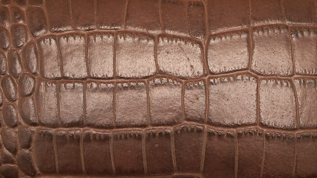 brown skin, the texture