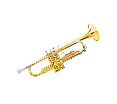 gold lacquer trumpet on white background