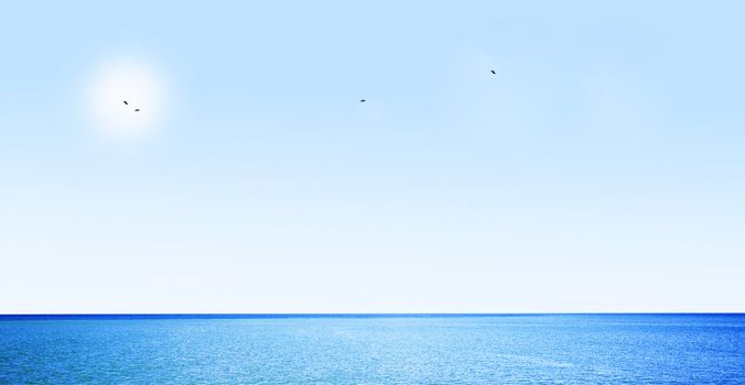 Blue sky, ocean and flaying birds