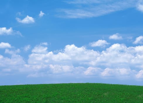 summer landscape