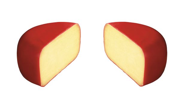two french gourmet yellow cheeses isolated over white background