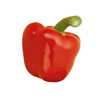 pepper isolated on white background