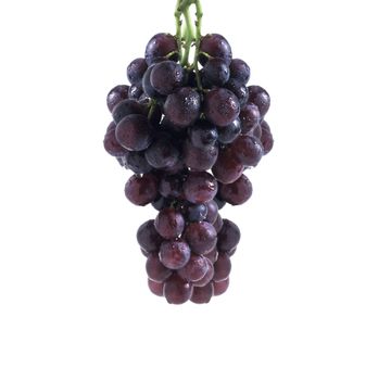 Fresh bunch of red wine on a white background