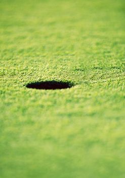Golf hole on the green grass