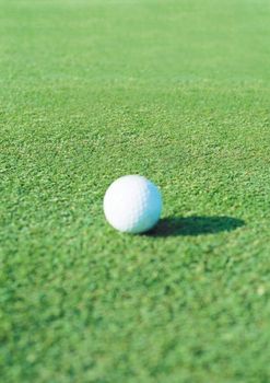 Golf Ball on the Green Grass with green background
