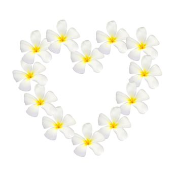 frangipani shape as heart isolated on white