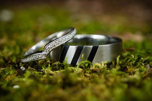 Wedding rings in the nature