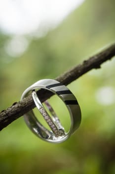 Wedding rings in the nature