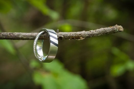 Wedding rings in the nature