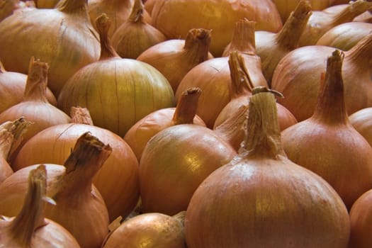 A pile of fresh onions ready for peeling.
