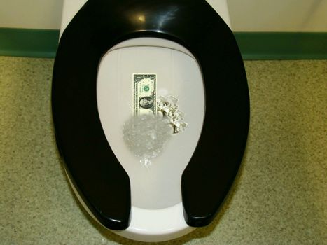 the economic bailout like flushing money down the toilet