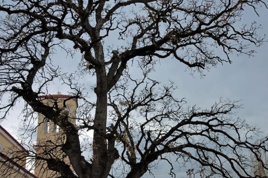 Church under moody sky obscured by oak tree branches silhouette.
