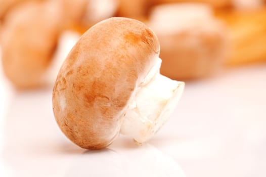 macro shot of fresh mushrooms