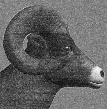 Goat with horns sketch digital 3d illustration.
