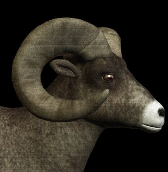 Goat with horns sketch digital 3d illustration.