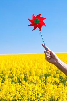 hand with pinwheel  in a field of yellow rape against the blue sky