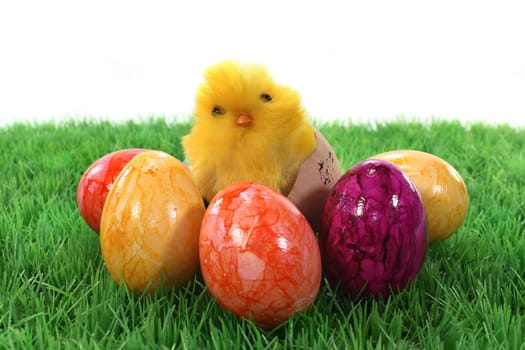 variety of colorful Easter eggs on a meadow