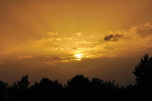 Setting sun behind clouds. Sunset colored sky and tree silhouettes.