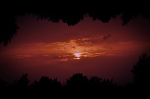 Double printed photo of setting sun behind clouds and tree silhouettes frame.
