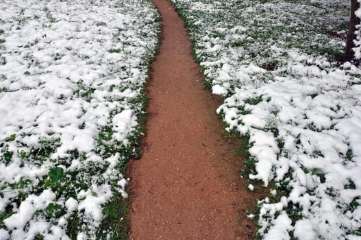 Muddy footpath through snow covered plants. Winter landscape.