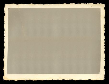 Vintage old blank photograph design element with white border.