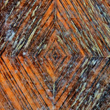 Wood grunge background with growth rings pattern.