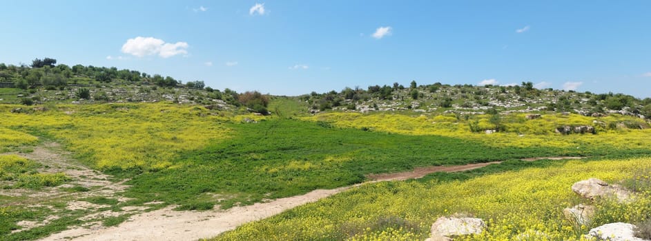 Mediterranean hills landscape in spring