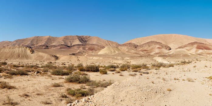 Desert landscape near the Large Crater (Makhtesh Gadol) in Israel's Negev desert