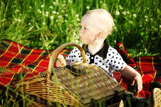  picnic on green grass boy and basket