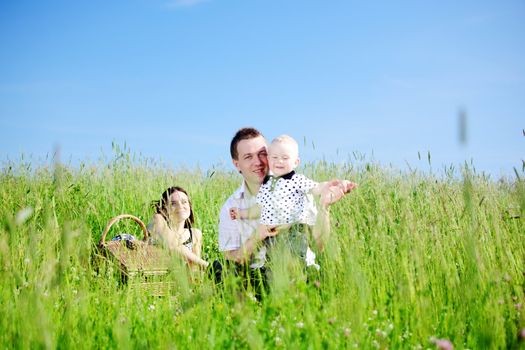  happy family on picnic in green grass