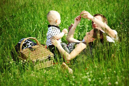  happy family on picnic in green grass