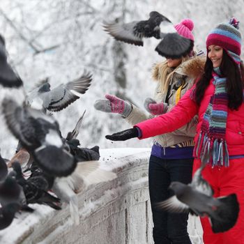 winter women give food to the pigeon