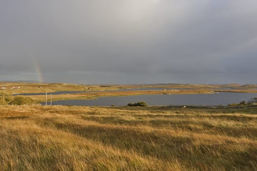 soft evening scene in scottish highlands with grass in front of lake