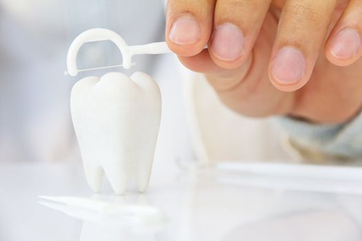 dentist holding dental floss with molar, flossing teeth concept