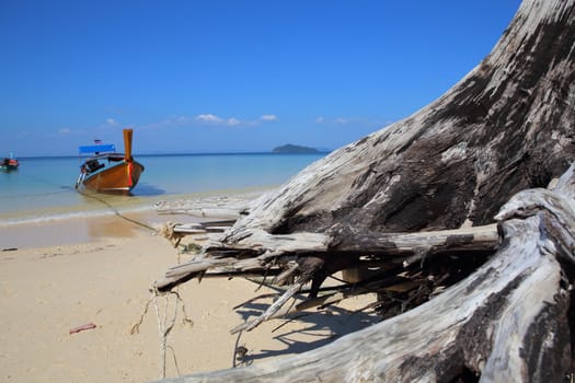 Beautiful white sand beach on island with crystal clear sea, Andaman sea, Thailand