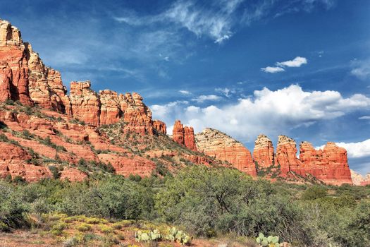 Dusk approaching in the Coconio wilderness, Sedona