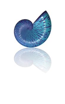 3D Rendering of Sea Shell With Copy Space