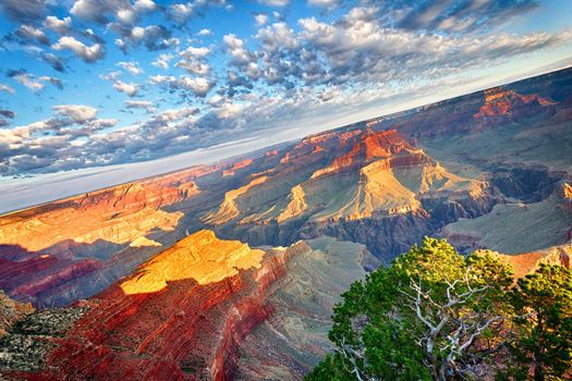 view of Grand Canyon at sunrise, USA