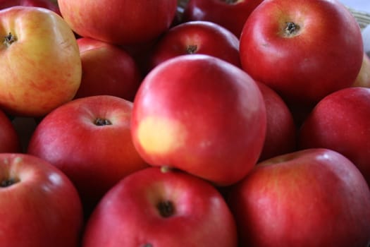 ripe red apples