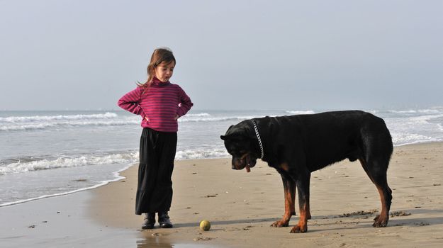 little girl playing with her rottweiler on the beach