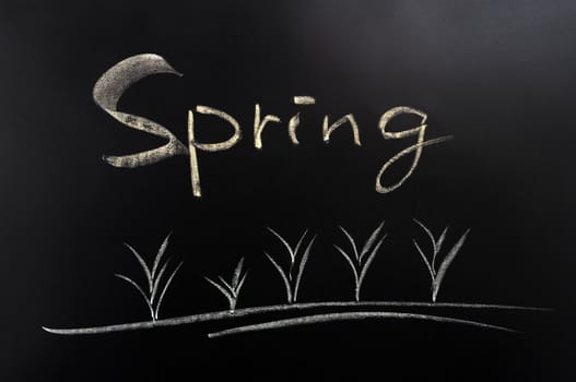 Concept of the spring on a blackboard