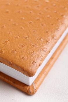 orange leather book on bright background