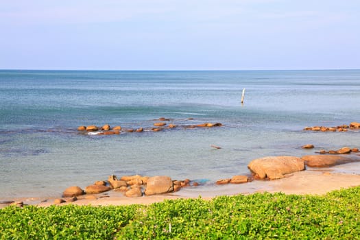 landscape of beach grass, Ipomoea pes-caprae Sweet, with rock and ripple in Rayong beach Thailand.